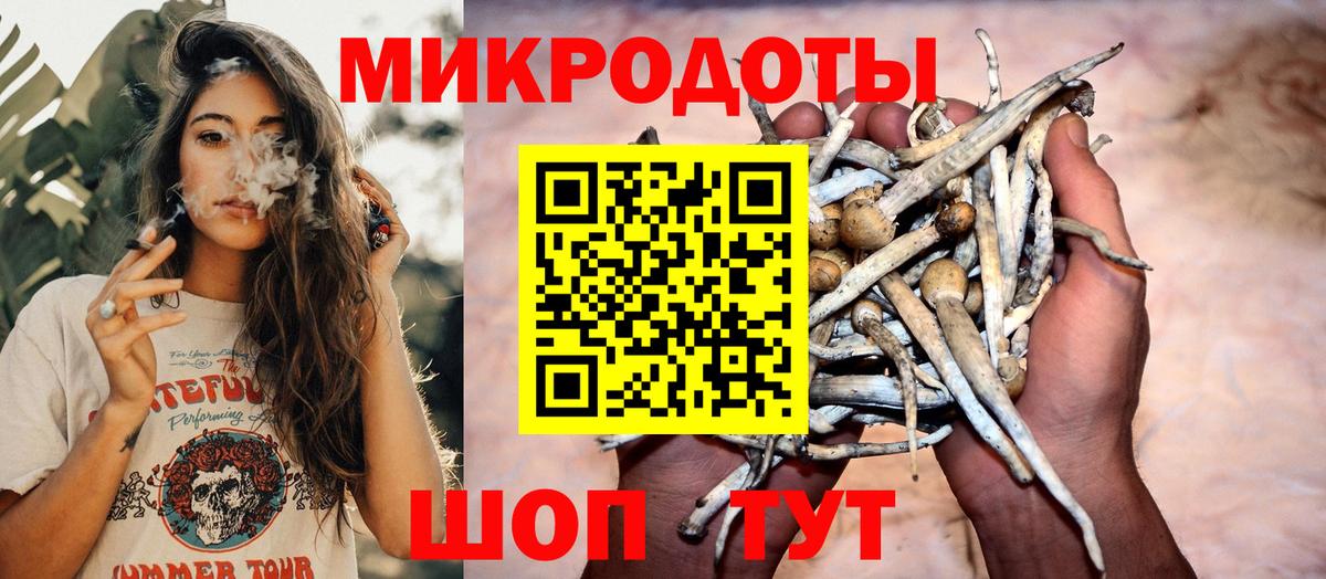 Галлюциногенные грибы Psilocybe  Вход с VPN  Истра 