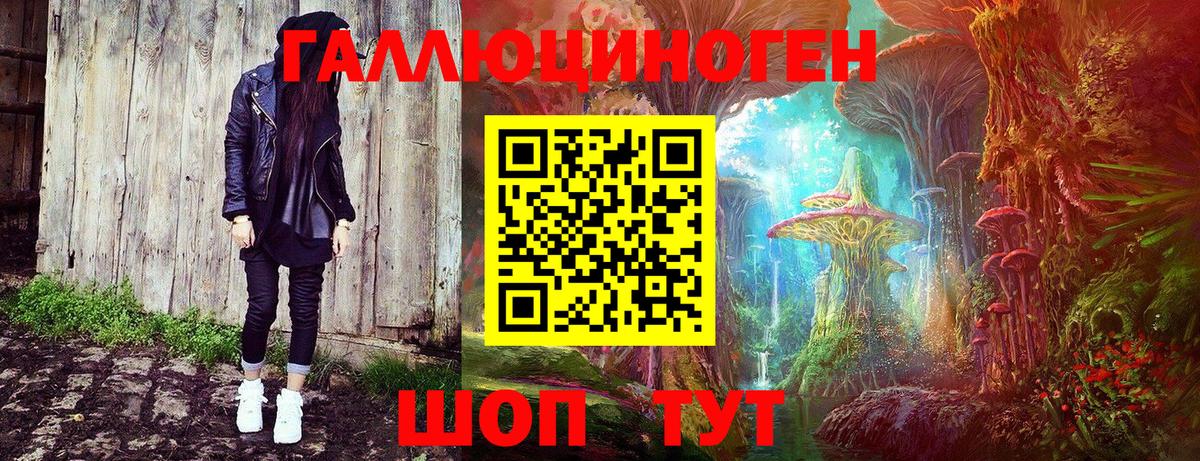 Галлюциногенные грибы Psilocybe Истра